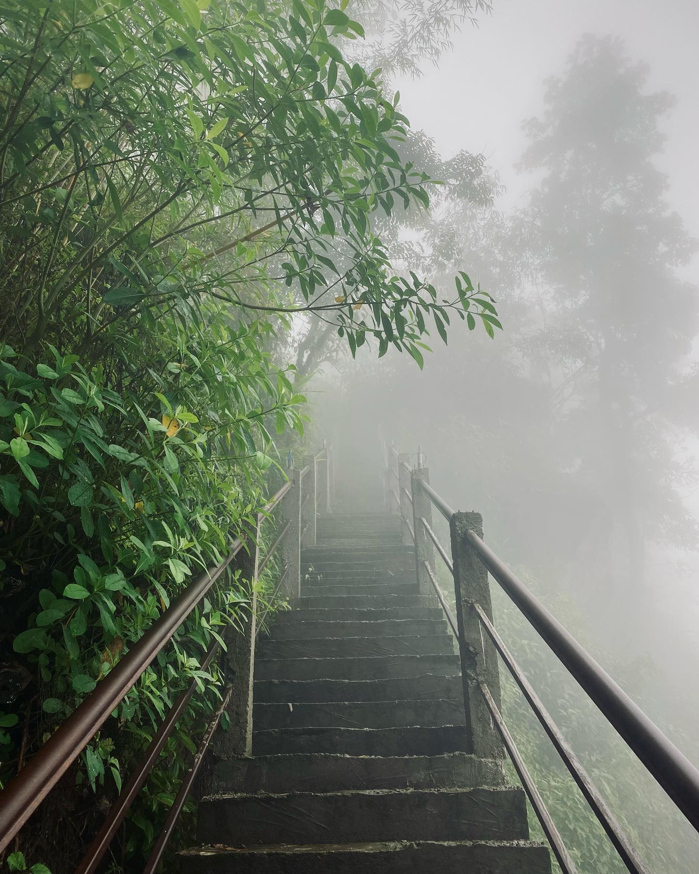 Rimbick Farm Stay - Ecstatic Explorers