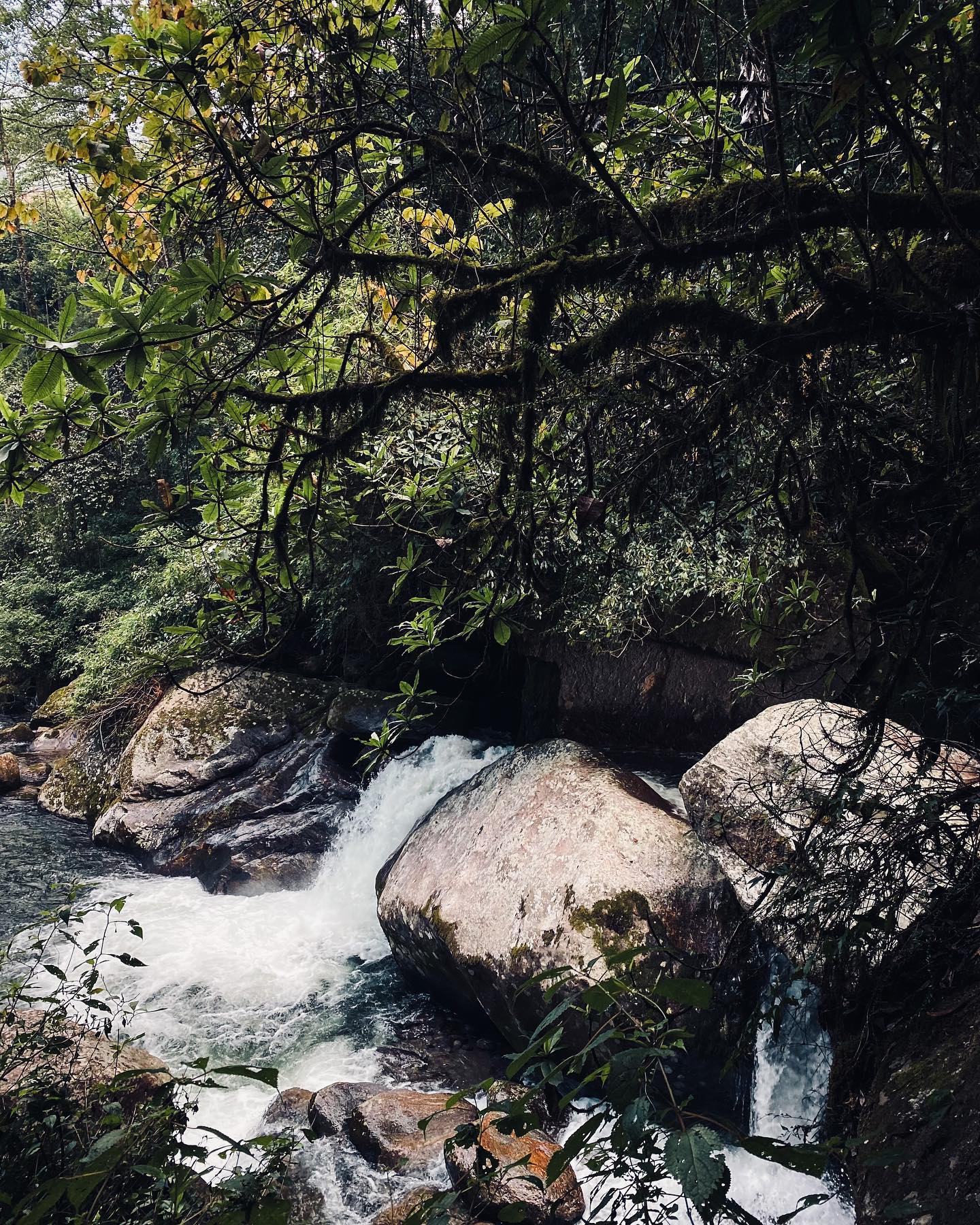 Rimbick Farm Stay - Ecstatic Explorers