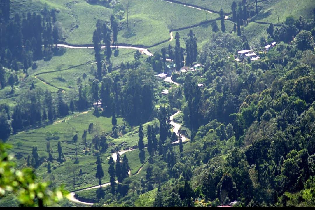 Takdah Paradise homestay - Ecstatic Explorers