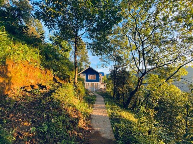 366945775_220485557619585_2623353557604681417_nfull (1)