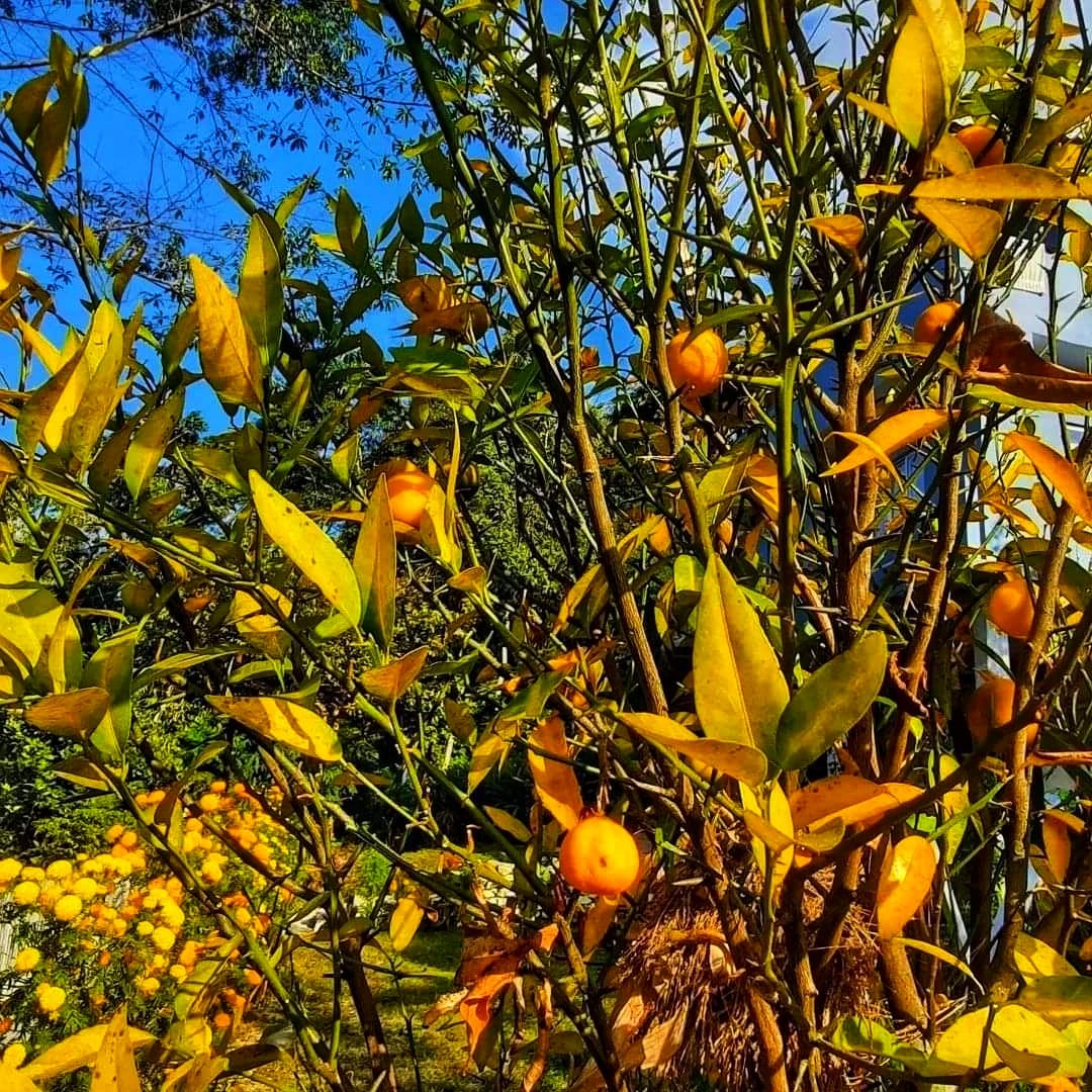 Takdah Deluxe Homestay - Ecstatic Explorers