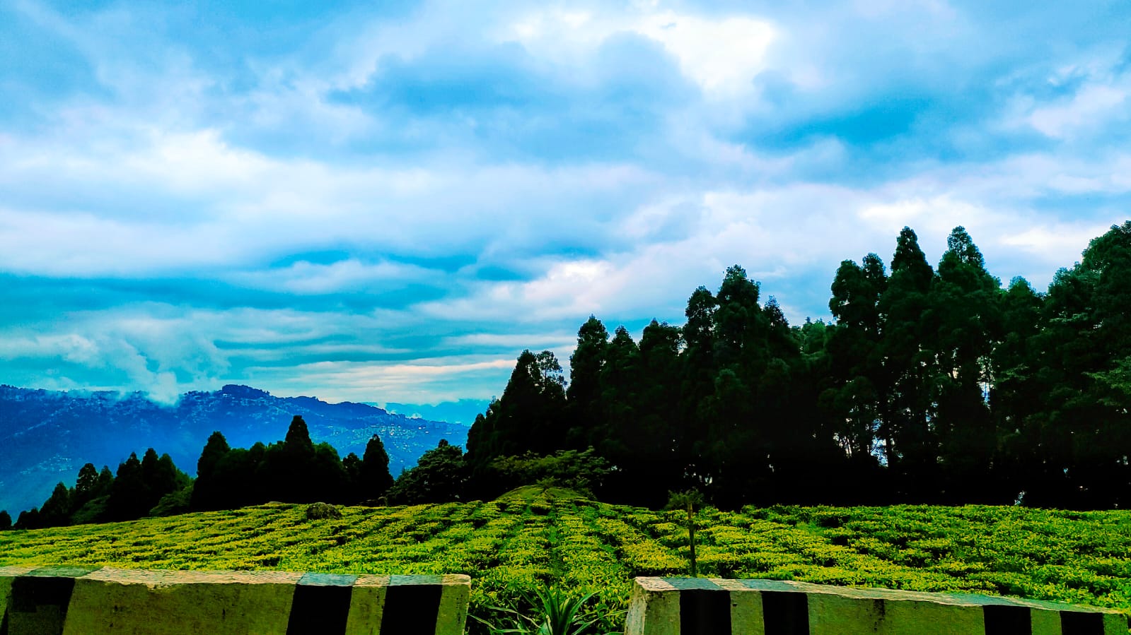 Takdah Deluxe Homestay - Ecstatic Explorers