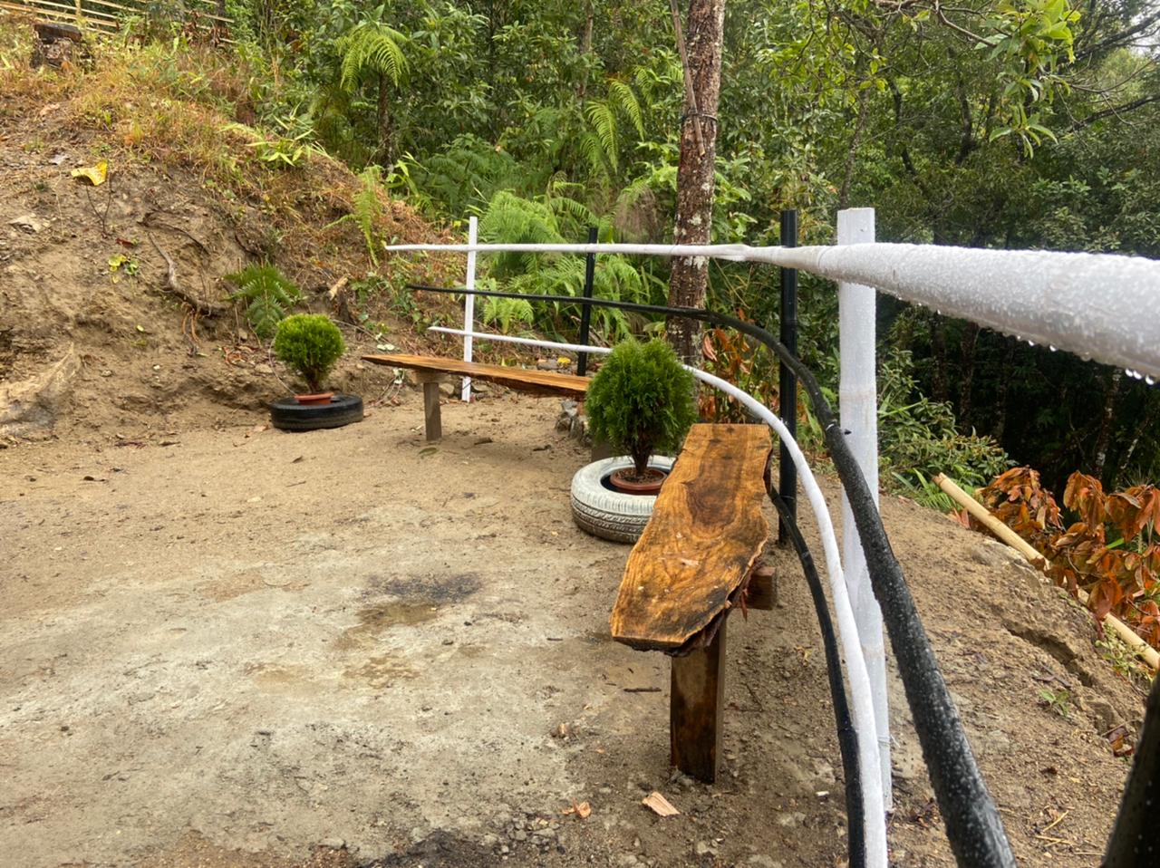 Relling Orange Farmstay - Ecstatic Explorers