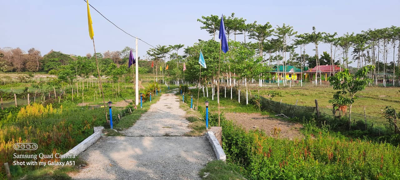 Chilapata Jungle Homestay - Ecstatic Explorers