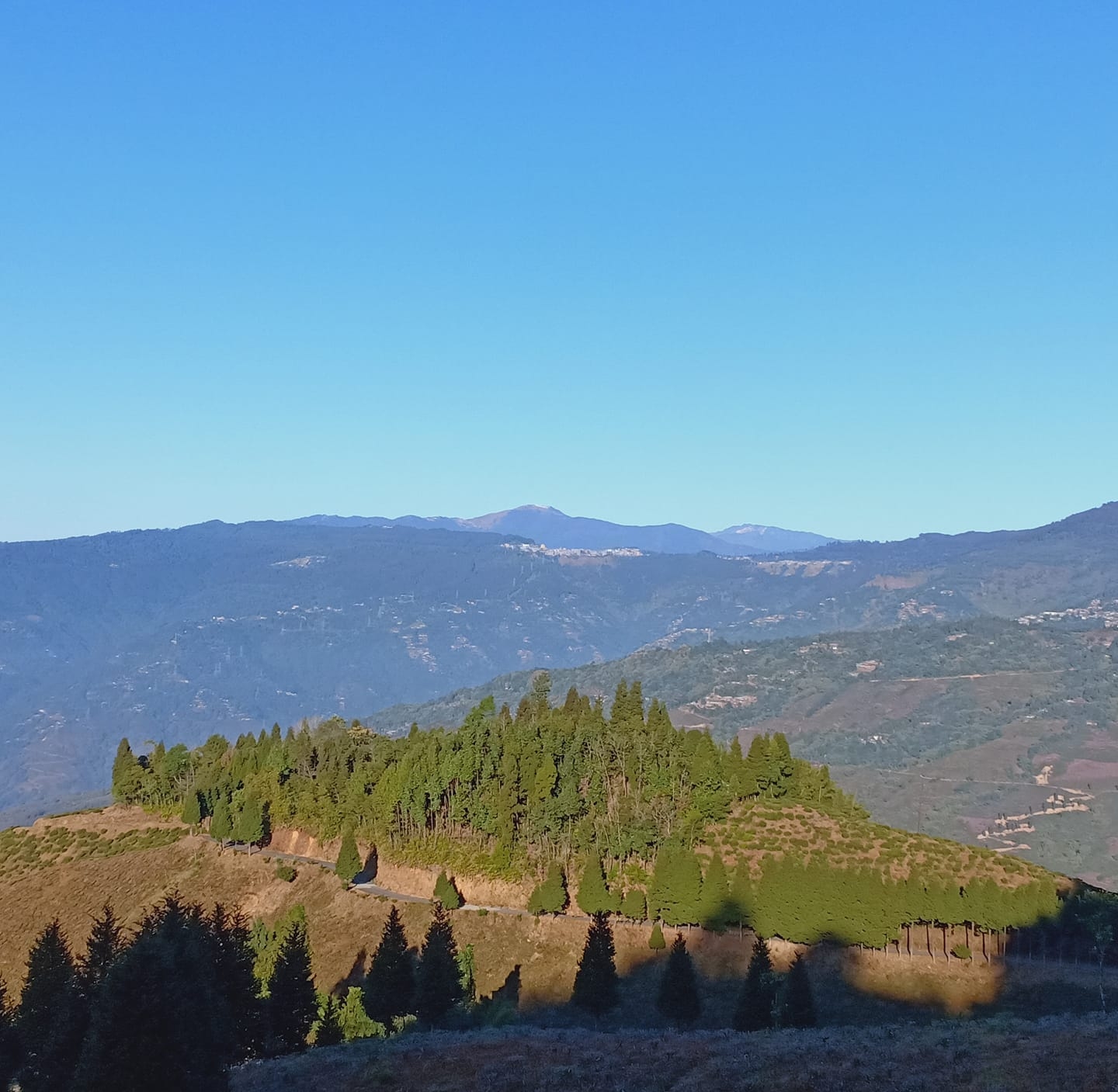 Pacheng Tea Garden View Homestay - Ecstatic Explorers