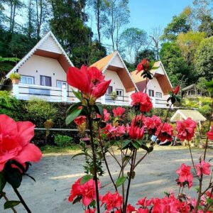 Sittong Mountainview Cottage