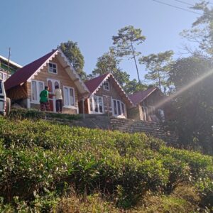 Pacheng Tea Garden View Homestay - Ecstatic Explorers