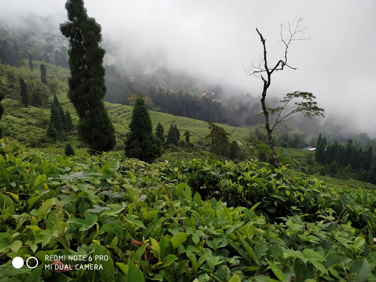 Takdah Heritage Bunglow 15-EcstaticExplorers