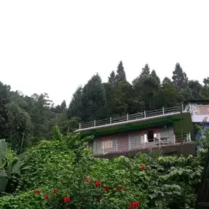 Hornbill Chedhen Homestay