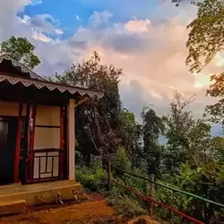 Kagey Jungle View Bird Watching Homestay