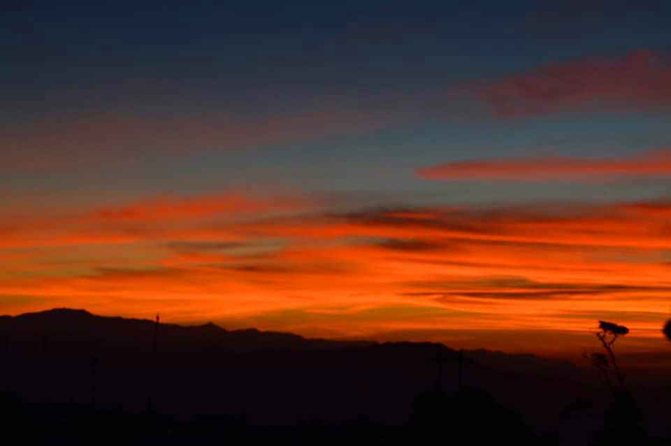 25446007_1488572297926001_8780313897353266614_n