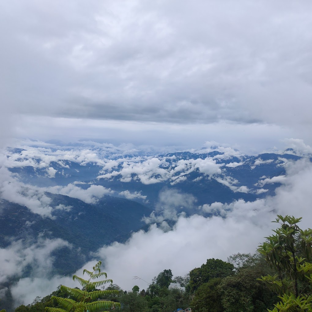 oppo_0