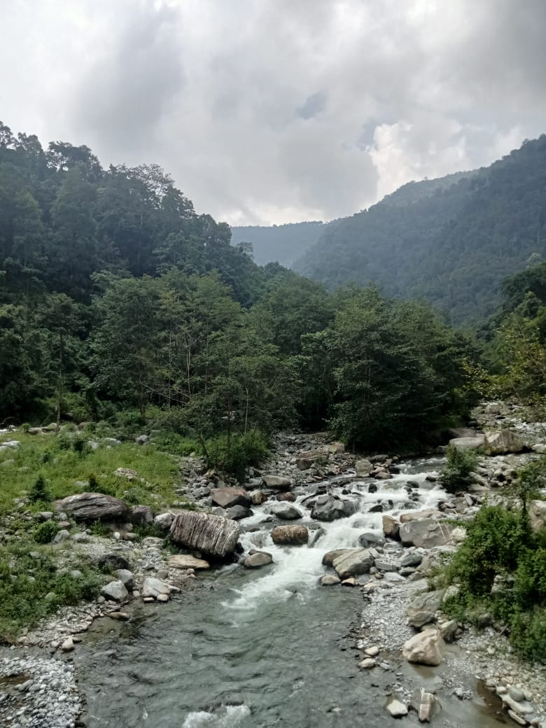 IMG-20240610-WA0015